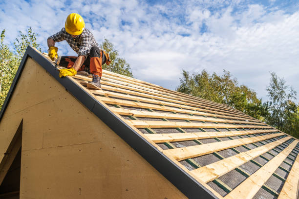 Roof Gutter Cleaning in San Diego, CA